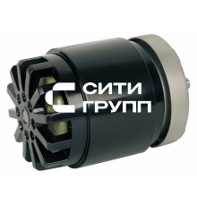 Электродвигатель для завес Тепломаш 0,092 с конд. 5 мкФ (YWK102-4E-34B) WG