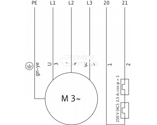 Погружной дренажный насос Wilo PADUS UNI M05/T25-540 2""1/2 KIT