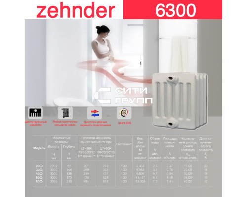 Стальной трубчатый радиатор отопления Zehnder 6300 / 1 секция