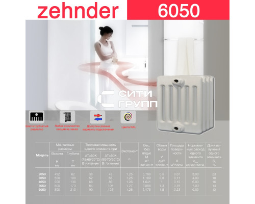Стальной трубчатый радиатор отопления Zehnder 6050 / 1 секция