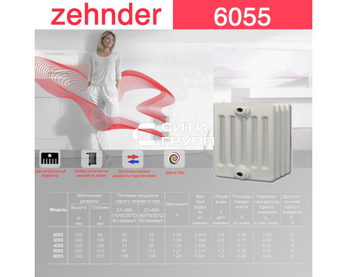 Стальной трубчатый радиатор отопления Zehnder 6055 / 1 секция