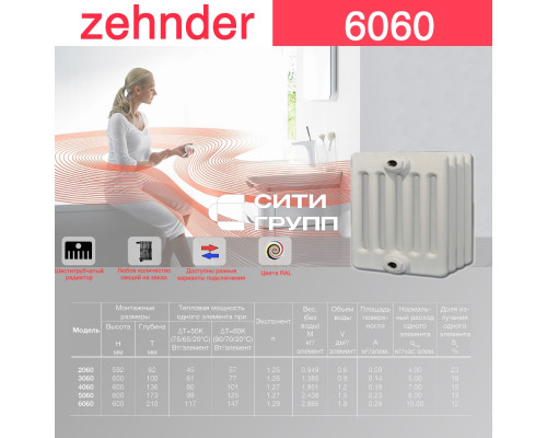 Стальной трубчатый радиатор отопления Zehnder 6060 / 1 секция