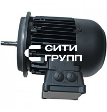 Двигатель D132/120-2a/1 380-400 В/ 50 Гц (21131307030)