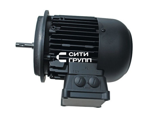 Двигатель WM-D132/170-2/7K5 380-415В – для внешнего частотного преобразователя (21531307040)