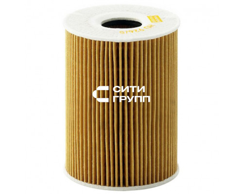 OIL FILTER (2090209)