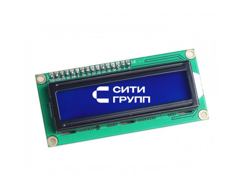 DISPLAY LAMTEC LCD (0005030167)