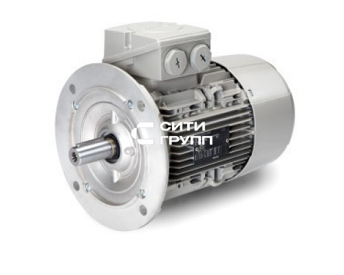 Электродвигатель TRIF KW11 230-400/50 (0005010244)